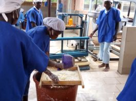 LE PRÉSIDENT DU CONSEIL RÉGIONAL DU CENTRE REND VISITE AUX TRANSFORMATRICES DE MANIOC A PABRE.