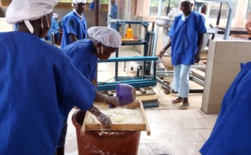 LE PRÉSIDENT DU CONSEIL RÉGIONAL DU CENTRE REND VISITE AUX TRANSFORMATRICES DE MANIOC A PABRE.
