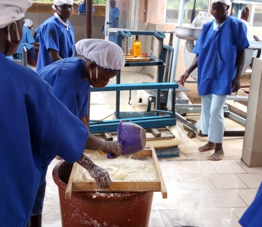 LE PRÉSIDENT DU CONSEIL RÉGIONAL DU CENTRE REND VISITE AUX TRANSFORMATRICES DE MANIOC A PABRE.